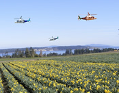 Helicopters